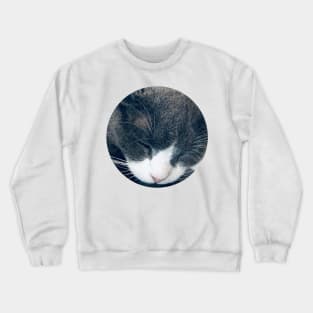 Sleeping Cat / Pictures of My Life Crewneck Sweatshirt